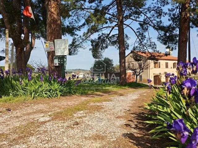 Villa Indipendente in vendita a Marche, Ancona
