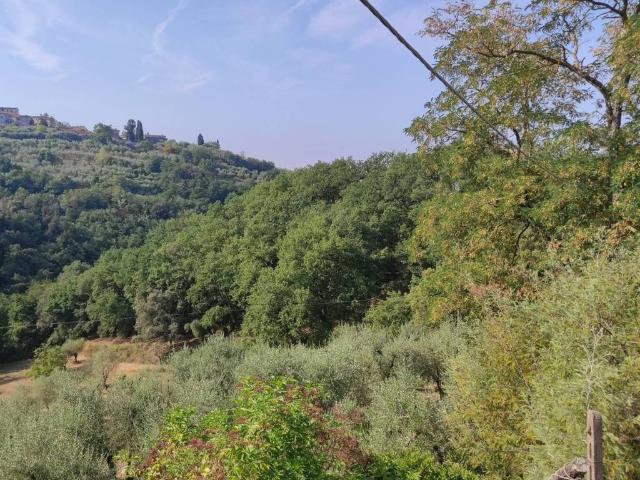 Villa Indipendente in vendita a Montevettolini, Toscana