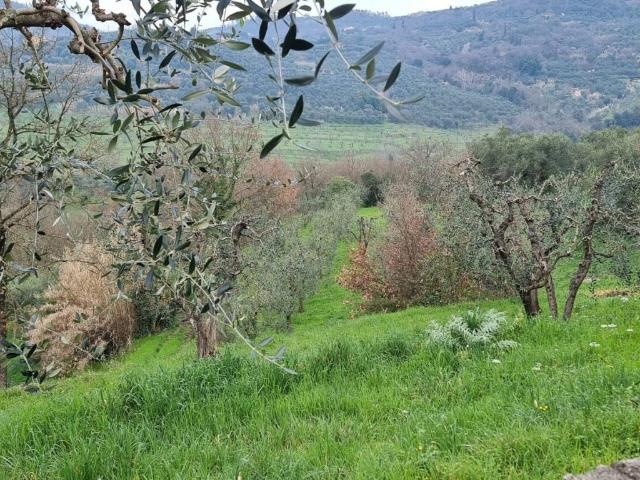 Villa Indipendente in vendita a Pozzarello, Montevettolini