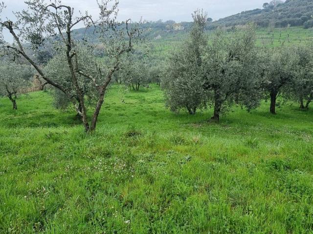 Villa Indipendente in vendita a Pozzarello, Montevettolini