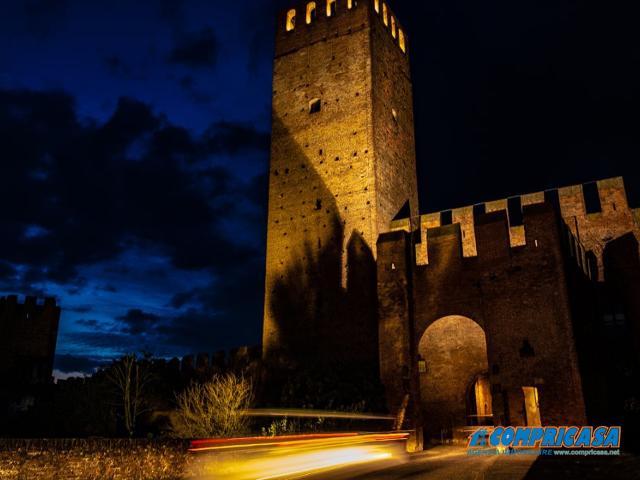 Villa Indipendente in vendita a Montagnana, Veneto