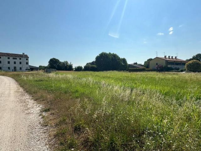Villa Indipendente in vendita a Borgo Veneto, Montagnana