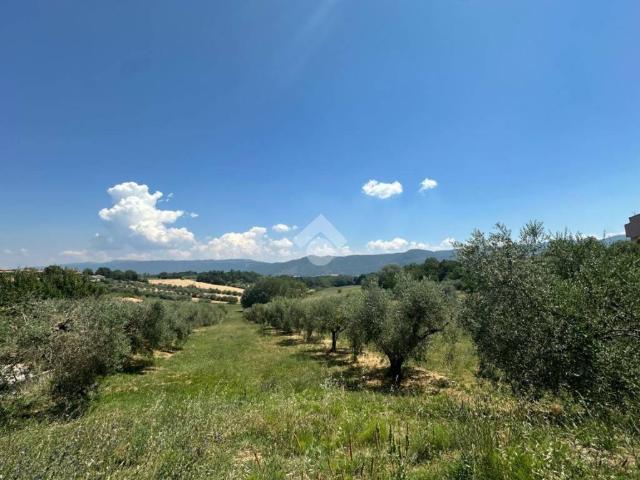 Appartamento in vendita a Montecastrilli, Umbria