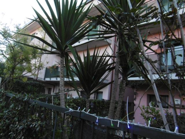 Villa Indipendente in vendita a Vagli, Marche