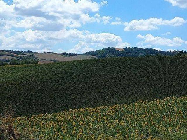 Villa Indipendente in vendita a Marche, Pesaro E Urbino