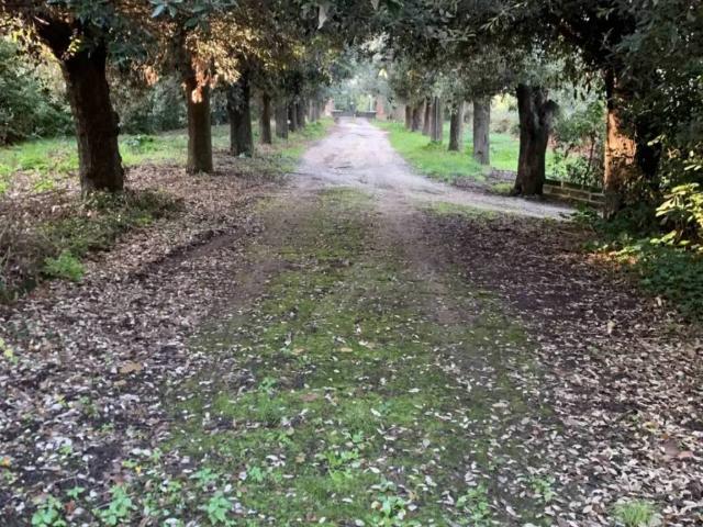 Villa Indipendente in vendita a Marche, Ancona