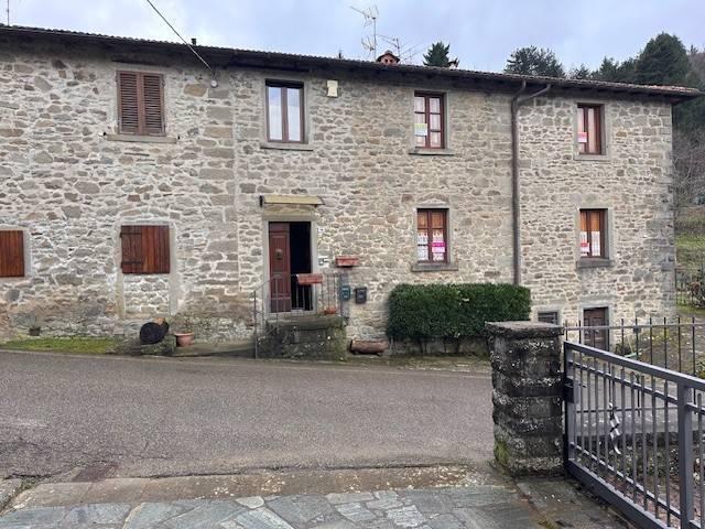Villa Indipendente in vendita a Montemignaio, Toscana