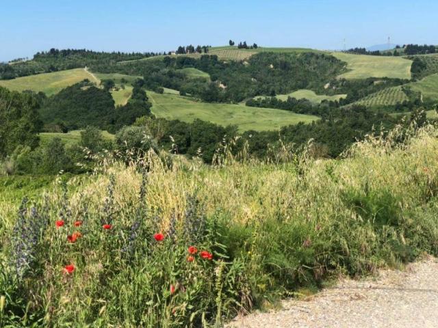 Villa Indipendente in vendita a Unione dei Comuni Circondario dell'Empolese Valdelsa, Montespertoli