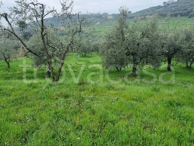 Villa Indipendente in vendita a Pozzarello, Montevettolini