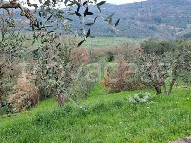Villa Indipendente in vendita a Pozzarello, Montevettolini