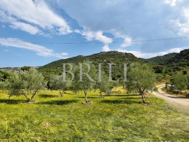 Villa Indipendente in vendita a Monte, Sardigna/Sardegna
