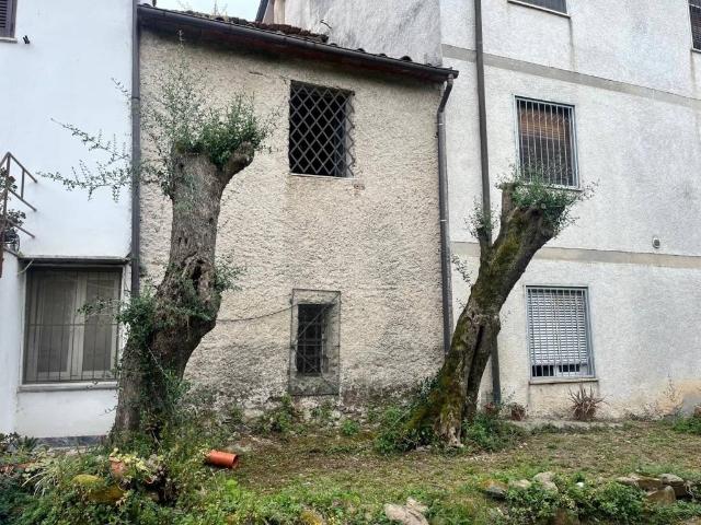 Villa Indipendente in vendita a Capanne, Montignoso