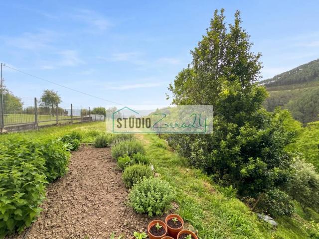Villa Indipendente in vendita a Corsanico, Montignoso