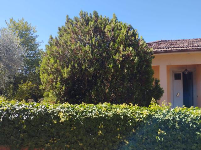 Villa Indipendente in vendita a Montopoli In Val D'arno, Toscana