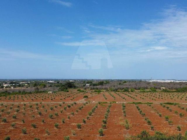 Villa Indipendente in vendita a Puglia, Lecce