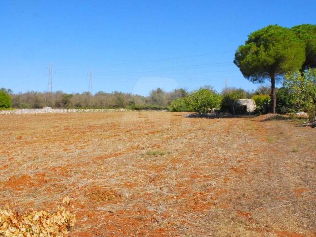 Villa Indipendente in vendita a Barbarano del Capo, Puglia