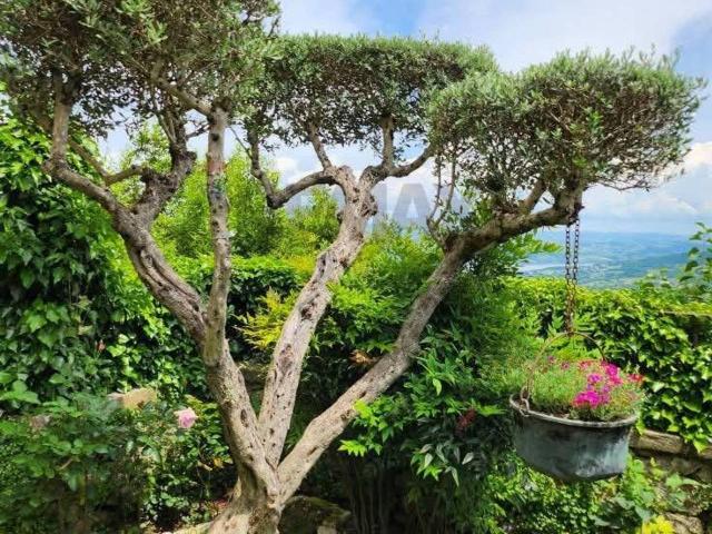 Villa Indipendente in vendita a Morcone, Campania