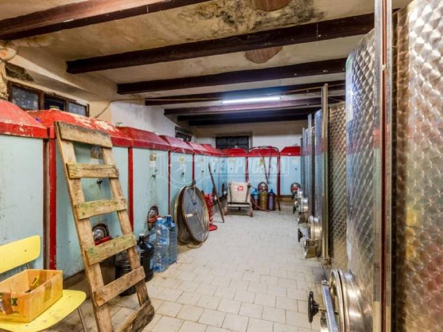 Villa Indipendente in vendita a Borgo Pintura, Marche