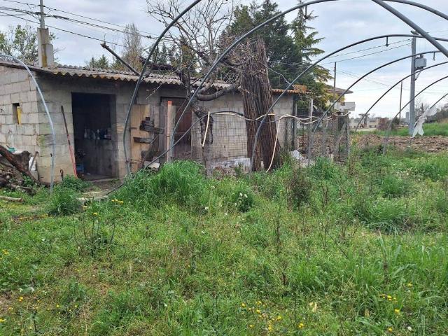 Villa Indipendente in vendita a Moscufo, Abruzzo