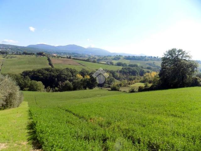 Villa Indipendente in vendita a Narni, Umbria