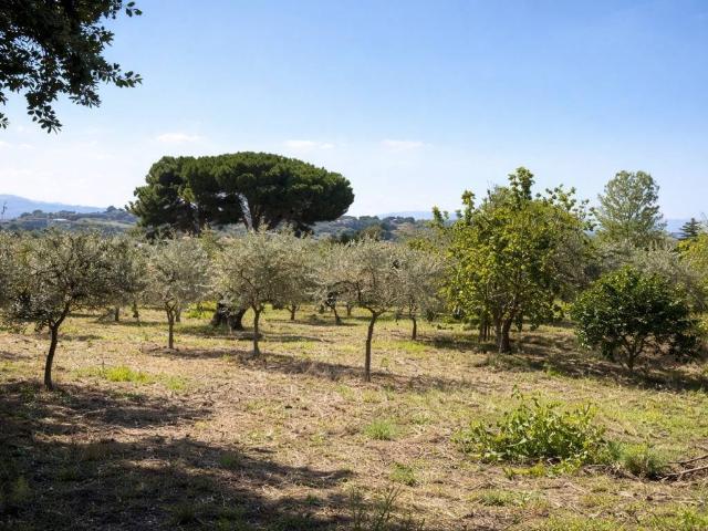 Villa Indipendente in vendita a Naso, Sicilia