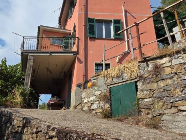 Villa Indipendente in vendita a Ne, Liguria