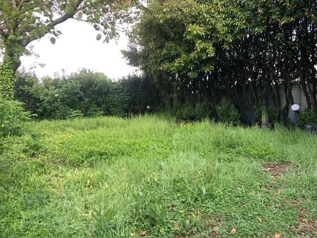 Villa Indipendente in vendita a Ogliastro Cilento