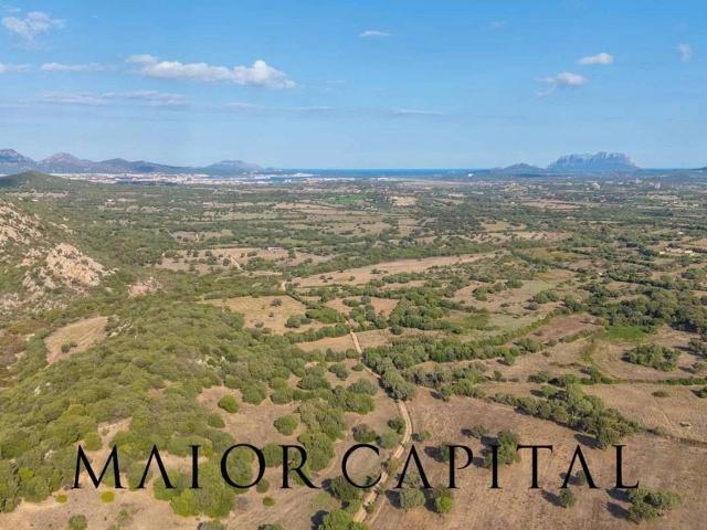 Villa Indipendente in vendita a San Pantaleo, Sardigna/Sardegna