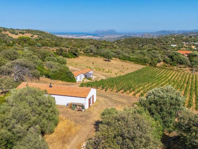 Villa Indipendente in vendita a Telti, Sardigna/Sardegna