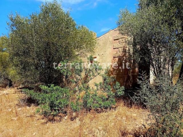 Villa Indipendente in vendita a San Pantaleo, Sardigna/Sardegna