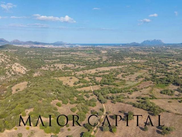 Villa Indipendente in vendita a San Pantaleo, Sardigna/Sardegna