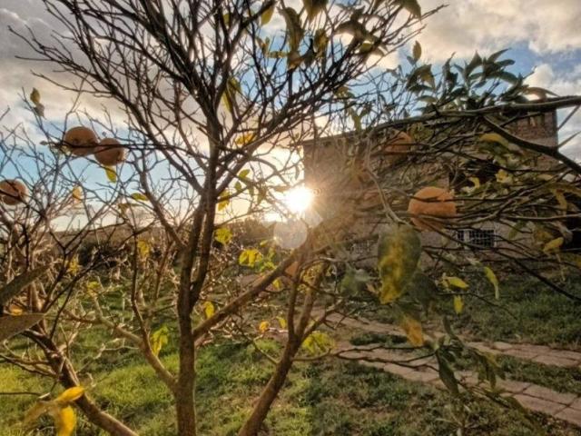 Villa Indipendente in vendita a Roma Capitale, Lazio