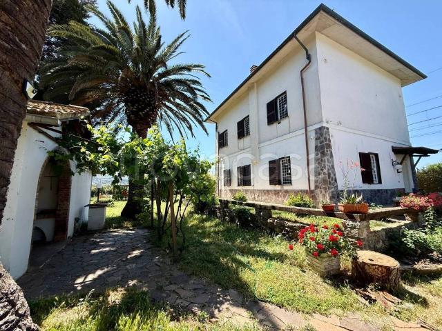 Villa Indipendente in vendita a Provinca, Orbetello
