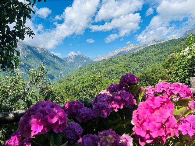 Villa Indipendente in vendita a Piemonte, Cuneo