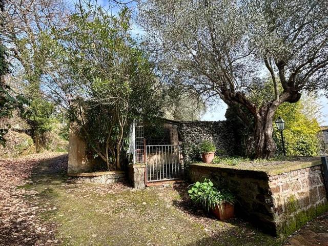 Villa Indipendente in vendita a Petignano, Orte
