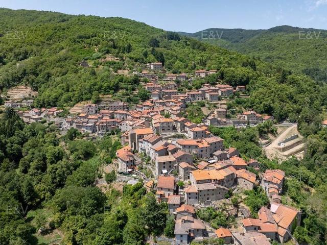 Villa Indipendente in vendita a Raggiolo, Ortignano Raggiolo