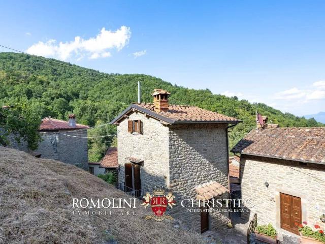 Villa Indipendente in vendita a Ortignano, Toscana