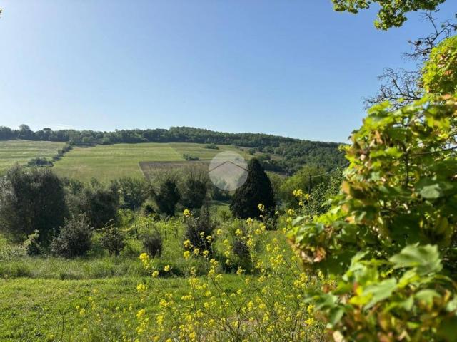 Villa Indipendente in vendita a Otricoli, Umbria