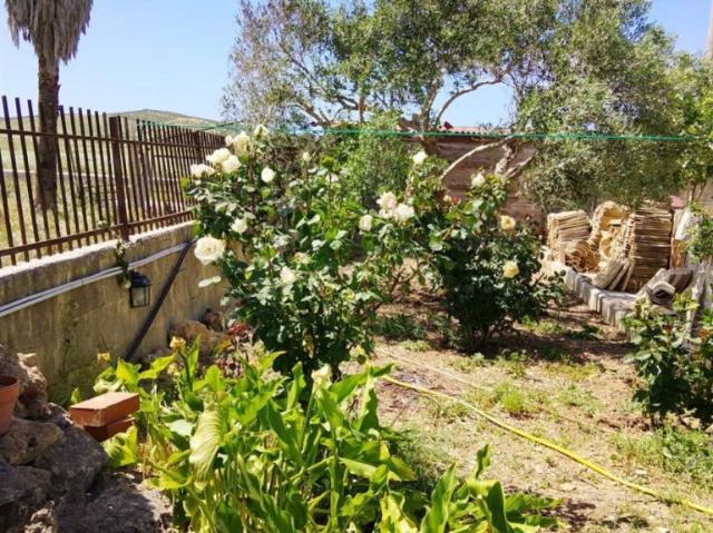 Villa Indipendente in vendita a Paceco, Sicilia