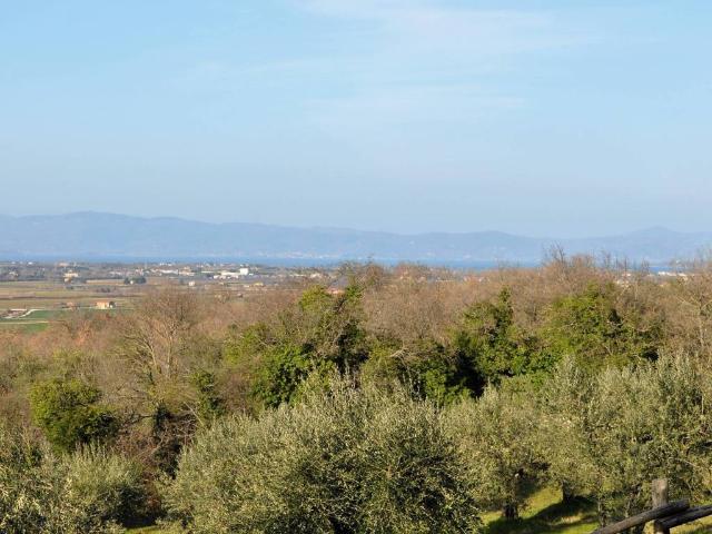 Villa Indipendente in vendita a Paciano, Umbria