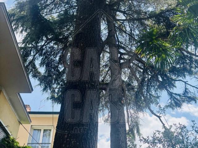Villa Indipendente in vendita a Madonna Pellegrina, Padova