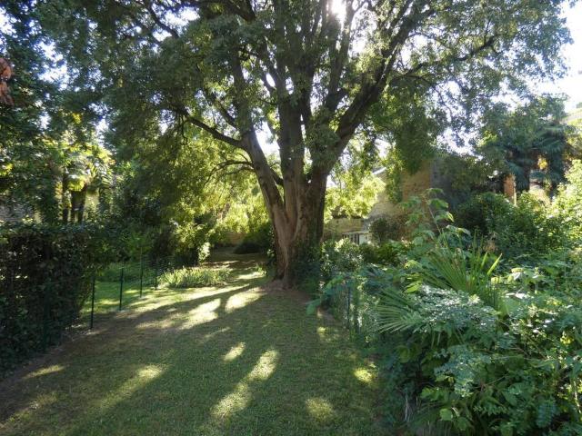 Villa Indipendente in vendita a Forcellini, Padova