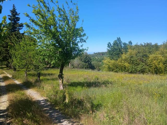 Villa Indipendente in vendita a Legoli, Toscana