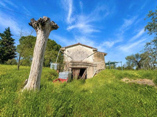 Villa Indipendente in vendita a Legoli, Toscana