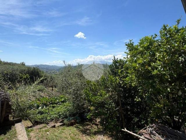 Villa Indipendente in vendita a Paliano, Lazio