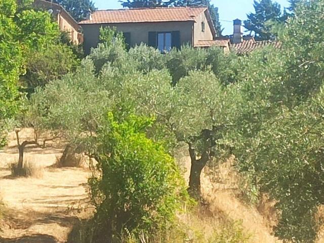 Villa Indipendente in vendita a Panicale, Umbria