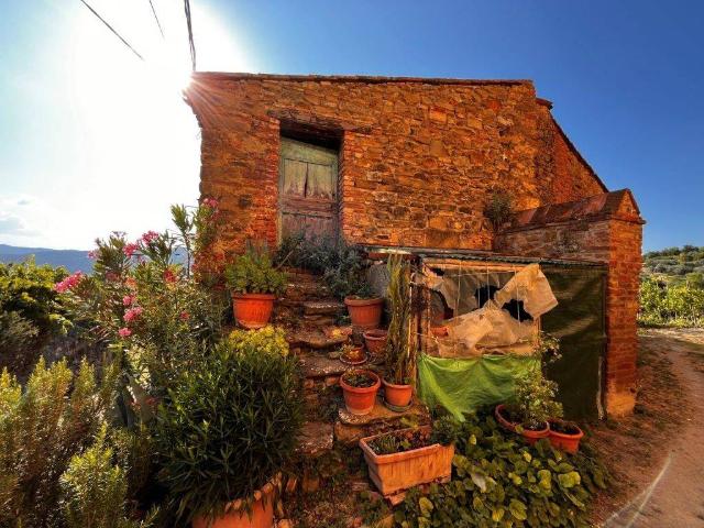 Villa Indipendente in vendita a Tavernelle, Panicale