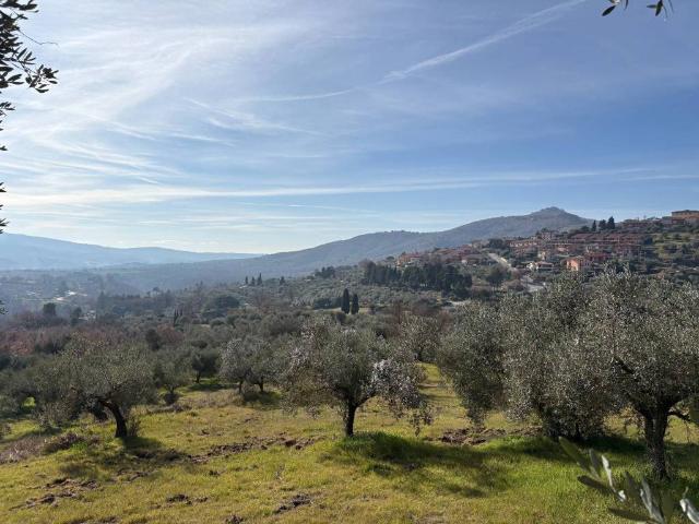 Villa Indipendente in vendita a Panicale, Umbria