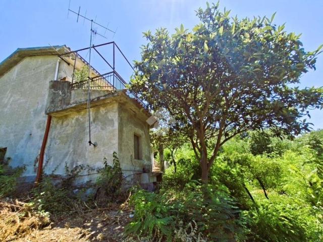Villa Indipendente in vendita a Calabria, Cosenza