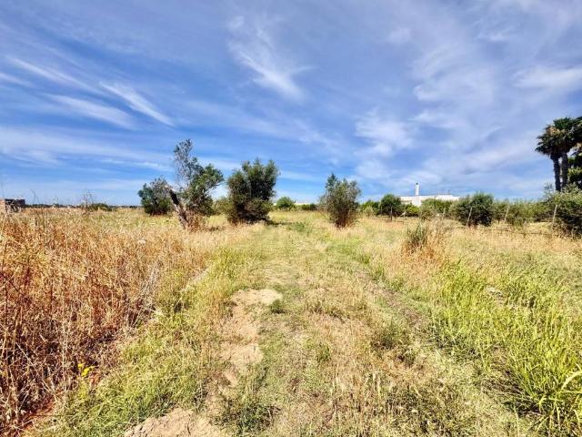 Villa Indipendente in vendita a Puglia, Lecce